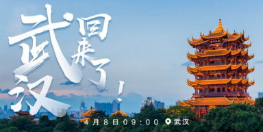 “連接線專家”金佳佰業，讓數據傳輸更高效