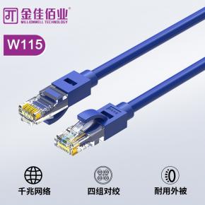 金佳佰業 六類網線 藍色、貝吉色 W115